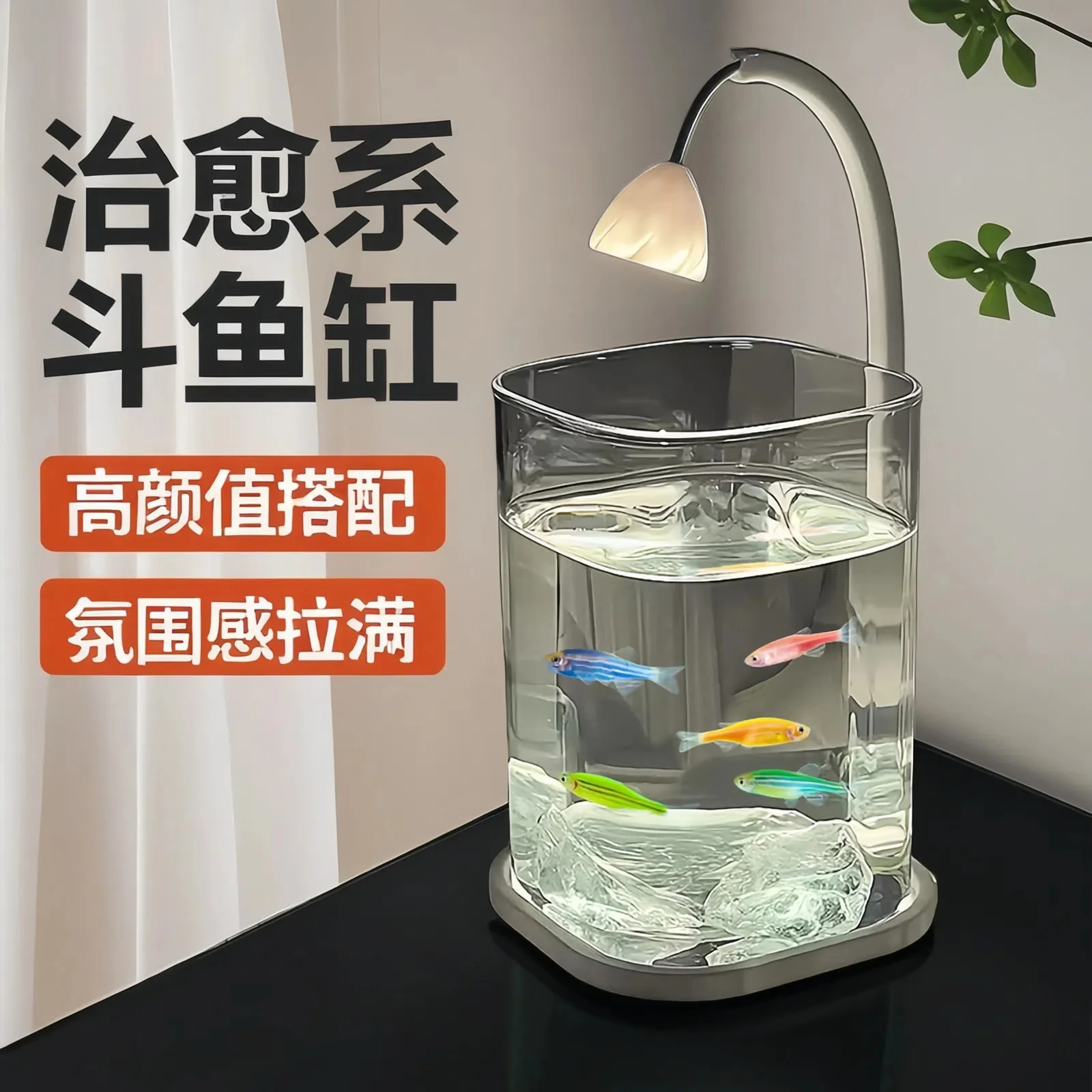 미니 베타 물고기 유리 수조 데스크탑 아쿠아리움 야간  - Aquarium Fish Betta 리뷰 및 가격