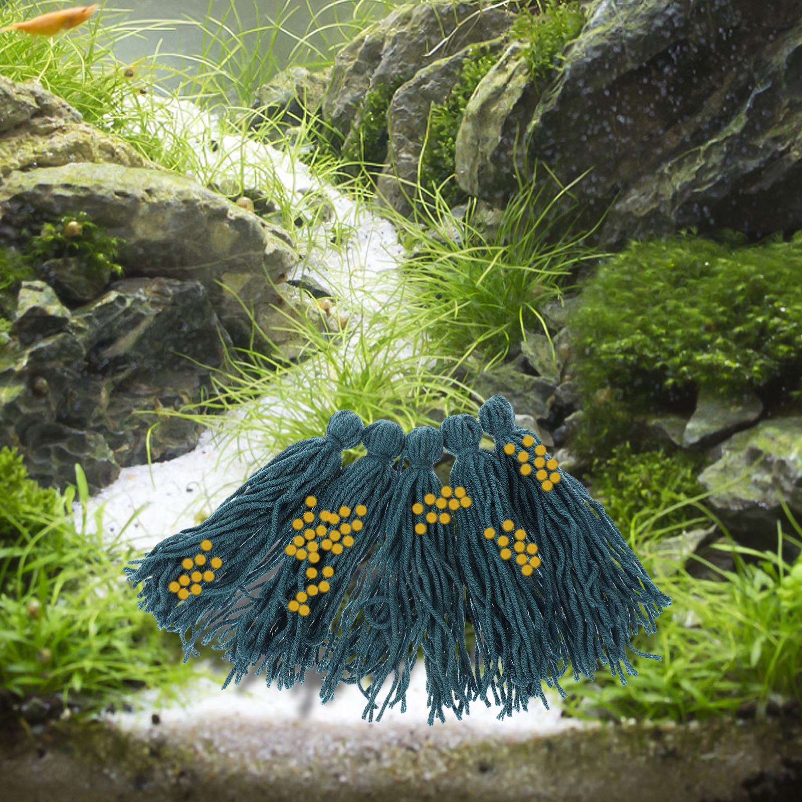 부화장, 물고기 수족관 양동이 장식 원사, 수족관 은신 - Aquarium Fish For Beginners 리뷰 및 가격