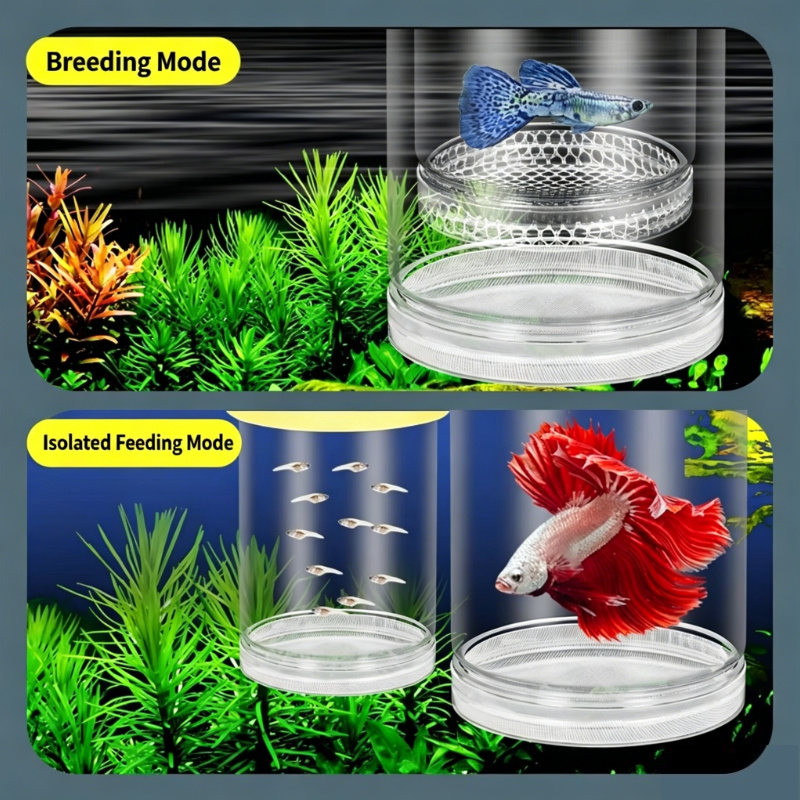 투명 플로팅 어항 부화 상자, 구피, 지브라, 베타 어 - Aquarium Fish Betta 리뷰 및 가격
