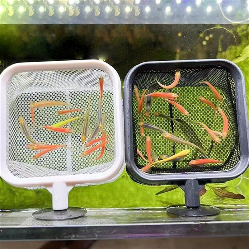 AquariumFish 낚시 그물 스테인레스 스틸 개폐 - Aquarium Fish Net Small 리뷰 및 가격