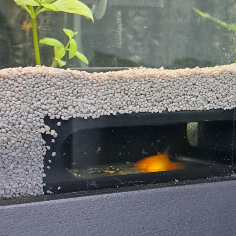 반원형 수족관 코너 물고기와 새우 동굴 수생동물들의 천 - Aquarium Fish Paradise 리뷰 및 가격