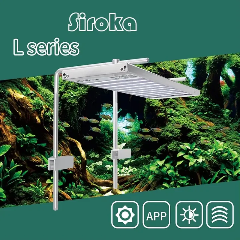 핫세일 실버 55W-110W 디밍 가능 IP33 방수  - Aquarium Fish For Sale 리뷰 및 가격