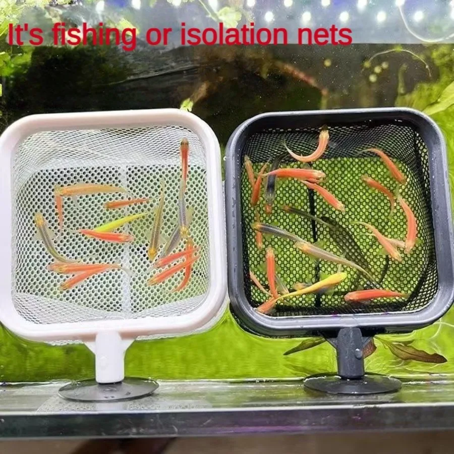 수족관 물고기 낚시 그물, 스테인리스 스틸, 개폐식 작 - Aquarium Fish Net Small 리뷰 및 가격