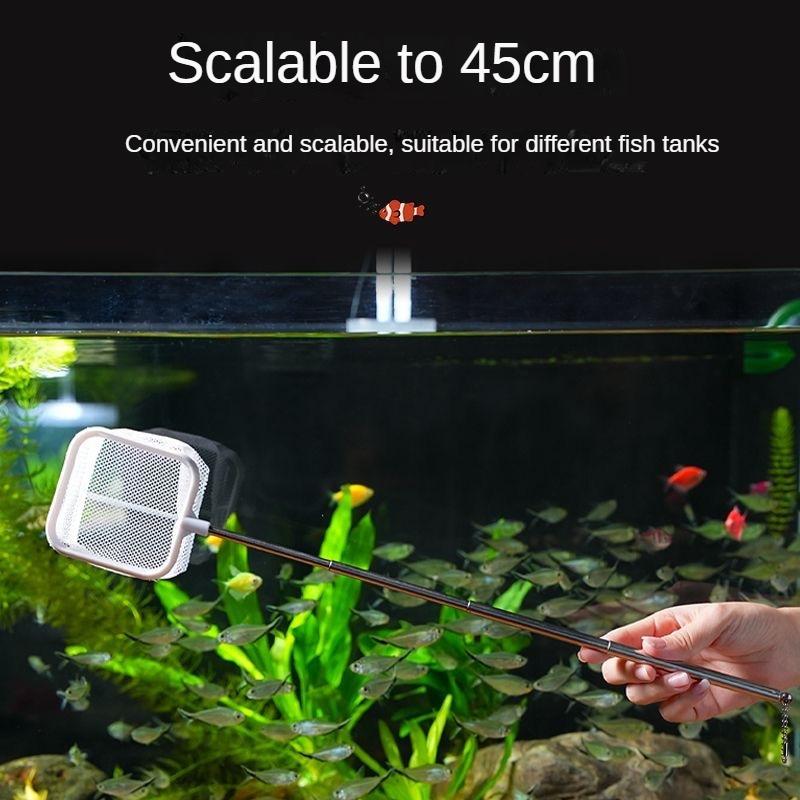 수족관 물고기 낚시 그물, 스테인리스 스틸, 개폐식 작 - Aquarium Fish Net Small 리뷰 및 가격