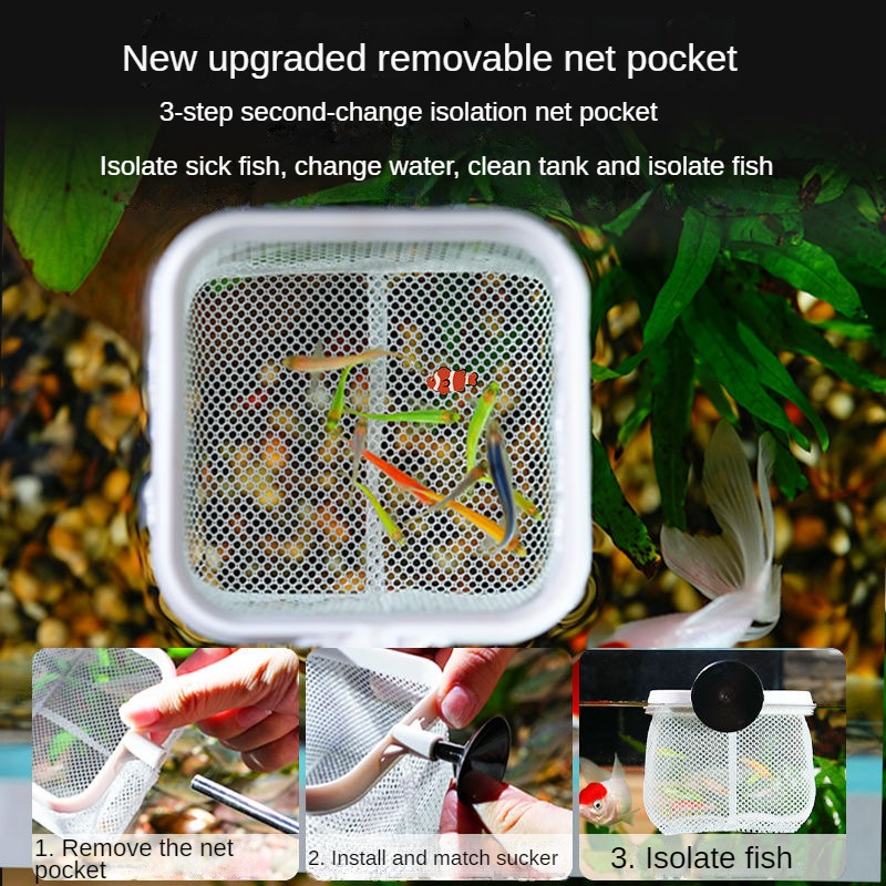 수족관 물고기 낚시 그물, 스테인리스 스틸, 개폐식 작 - Aquarium Fish Net Small 리뷰 및 가격