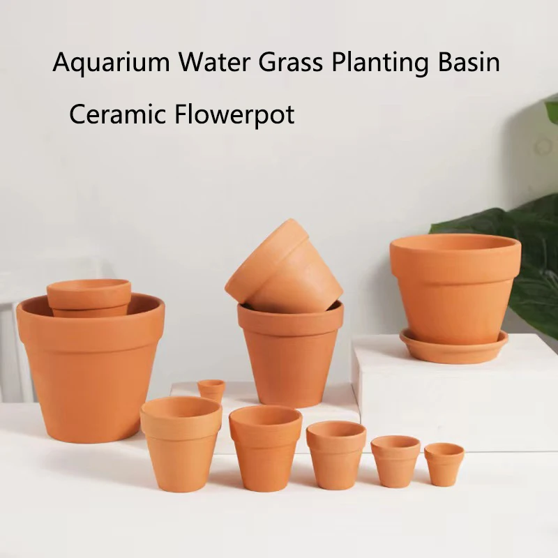 붉은 진흙 수족관 장식, 물 잔디 물고기 탱크 미니 냄 - Aquarium Fish For Beginners 리뷰 및 가격