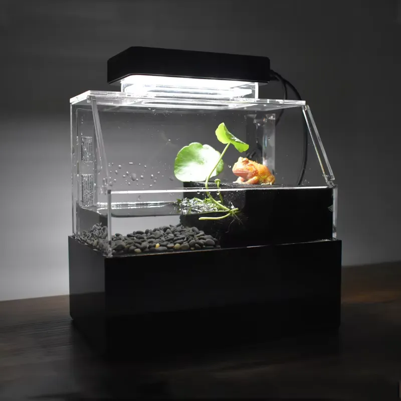릴랙스라인 맞춤형 데스크탑 수족관 미니 럭셔리 장식용  - Aquarium Fish For Sale 리뷰 및 가격
