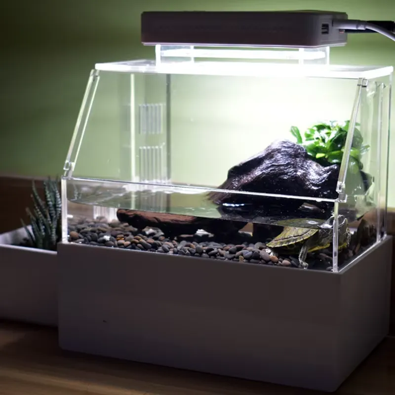 릴랙스라인 맞춤형 데스크탑 수족관 미니 럭셔리 장식용  - Aquarium Fish For Sale 리뷰 및 가격