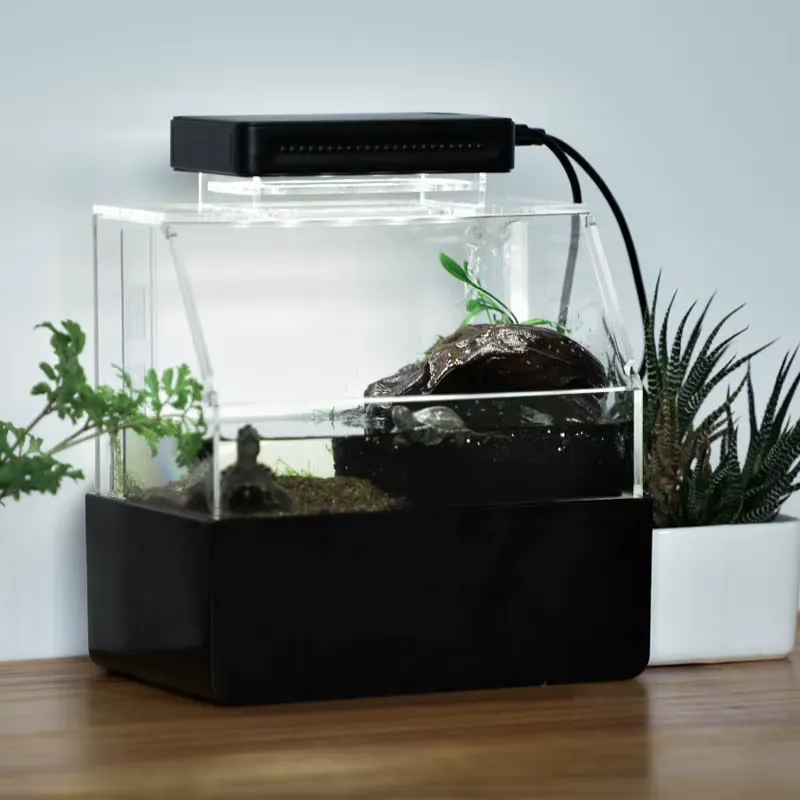 릴랙스라인 맞춤형 데스크탑 수족관 미니 럭셔리 장식용  - Aquarium Fish For Sale 리뷰 및 가격
