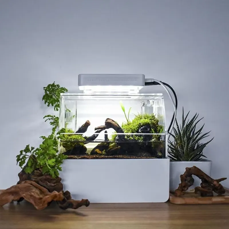 릴랙스라인 맞춤형 데스크탑 수족관 미니 럭셔리 장식용  - Aquarium Fish For Sale 리뷰 및 가격