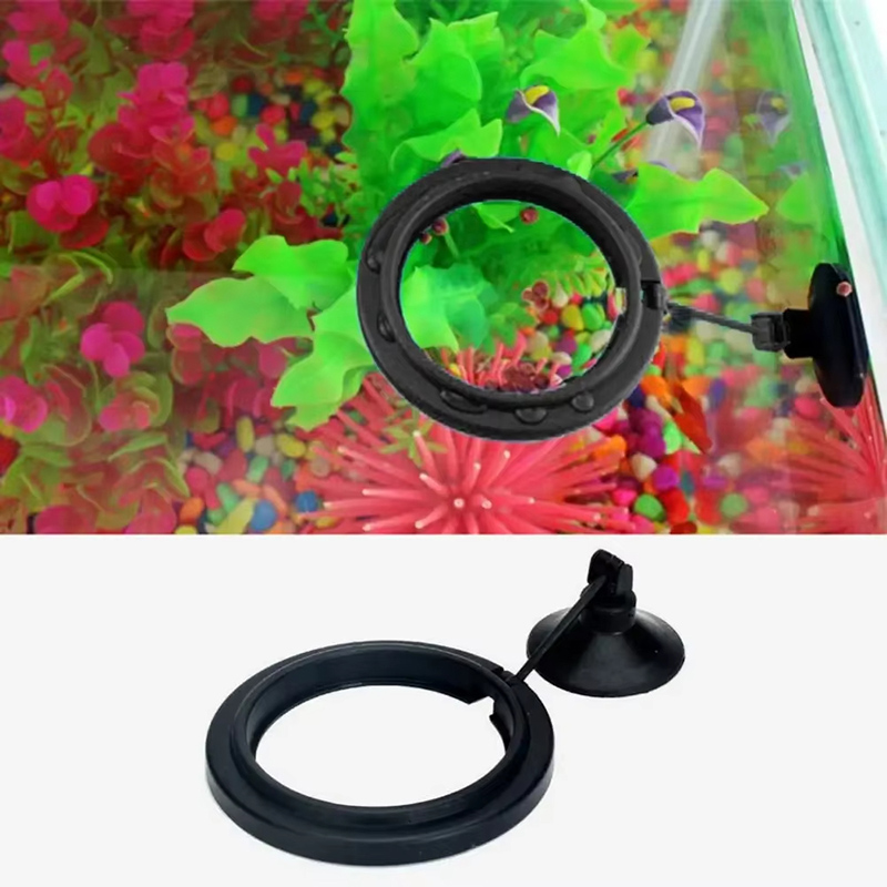 수족관 먹이 링 물고기 탱크 스테이션 플로팅 푸드 트레 - Aquarium Fish Medicine 리뷰 및 가격