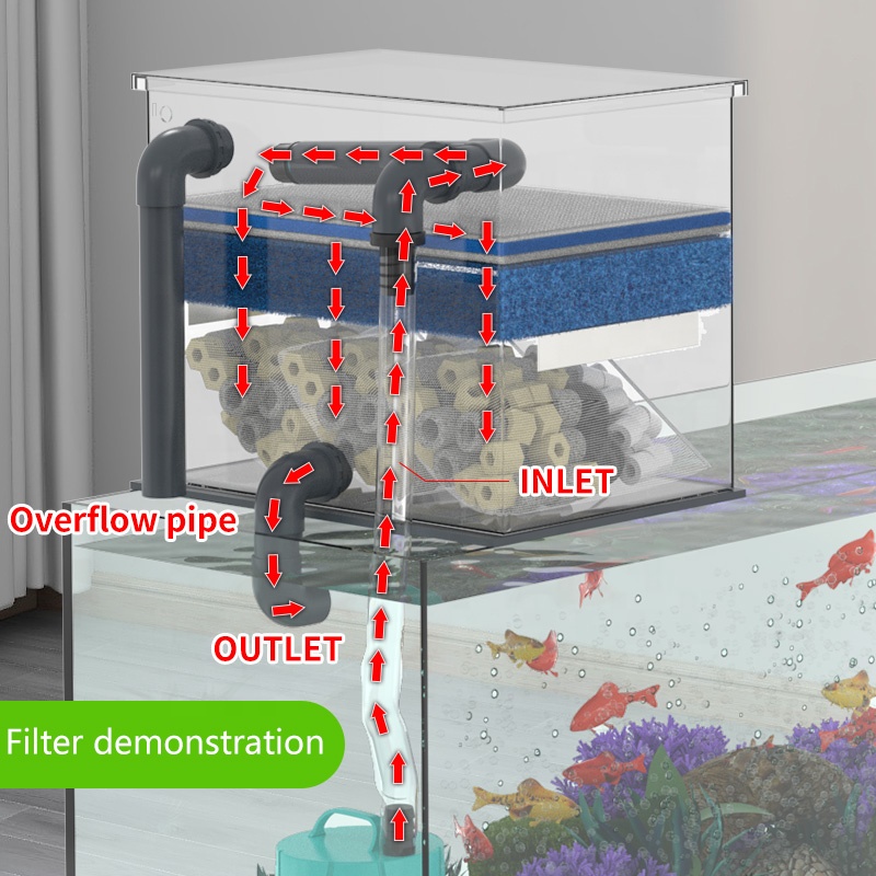 공장 직판 수족관 탱크 필터 스테인리스 스틸 어항 바이 - Aquarium Fish For Sale 리뷰 및 가격