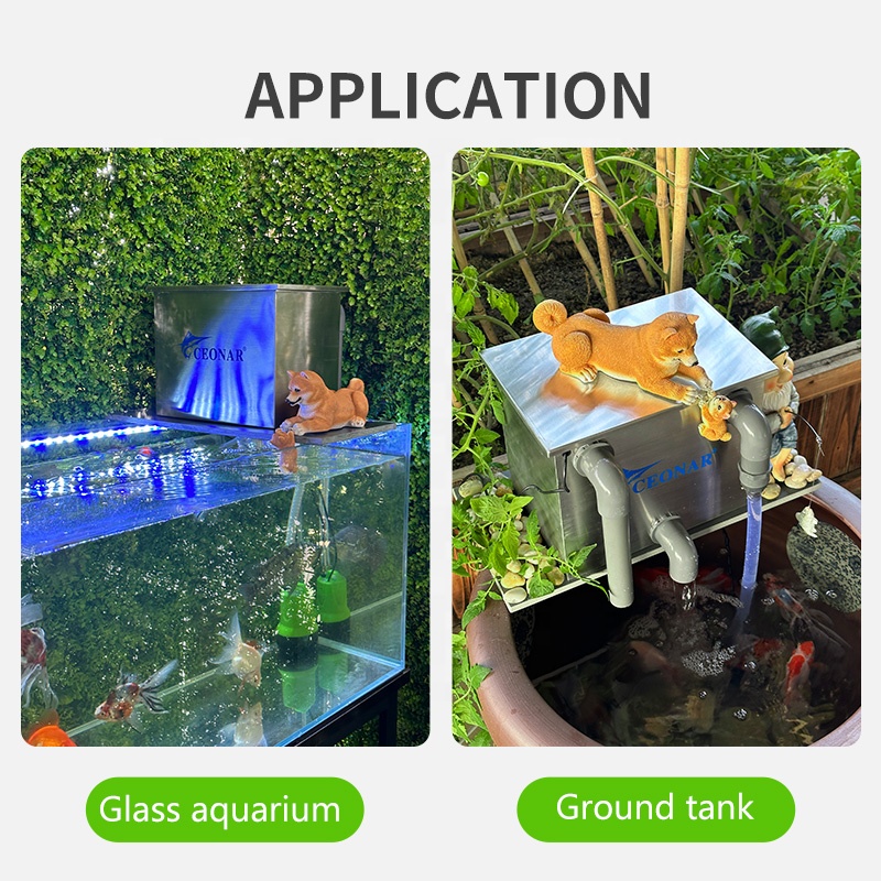 공장 직판 수족관 탱크 필터 스테인리스 스틸 어항 바이 - Aquarium Fish For Sale 리뷰 및 가격
